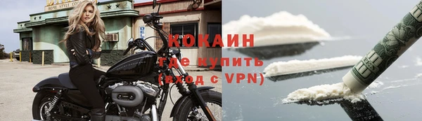 спайс Алексин