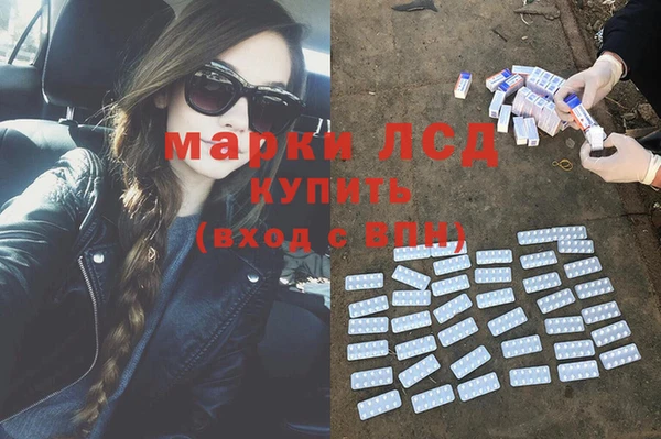 тгк Алзамай